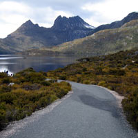 Path down to Dove Lake and Cradle Mountain
