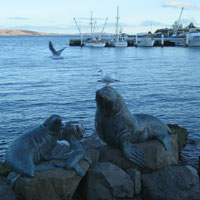 Seal statues at the bay