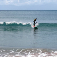 Lorne Surfing