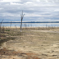 dry lake at Dumbleyung