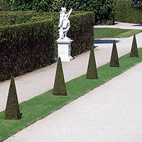 garden cones