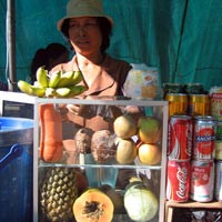 Cambodian Fruit Stand