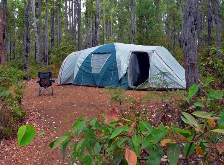 biggest camping tent 
