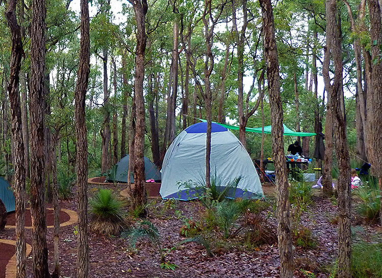 bush camping