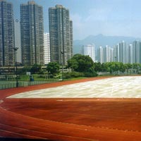 Hong Kong Sports Insititute