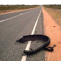 Desolate Australian outback road