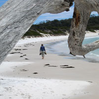 walking along the white sands of Wineglass Bay beach