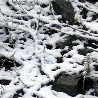 Snow on the top of Mount Wellington in October