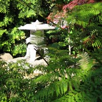 a japanese garden in the city of Launceston
