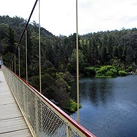 Suspension bridge across cataract gorge