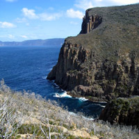 Spectacular coastal cliffs in the Tasman National Park