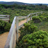 walking track along the cliff top