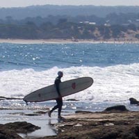 Anglesea surfer