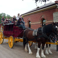 Echuca horse and carriage 