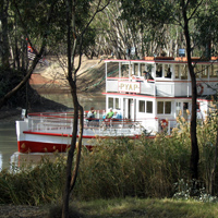 Paddle Steamer on the Murray River