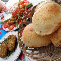 Egyptian Falafel meal