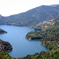Lake Tolla view
