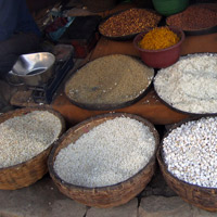 All types of rice for sale