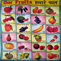 tropical fruits of india chart
