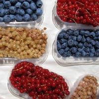 multi-colored berries