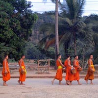 Buddist Monks on morning parade