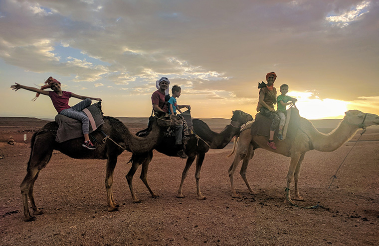 riding camels in the Moroccan desert