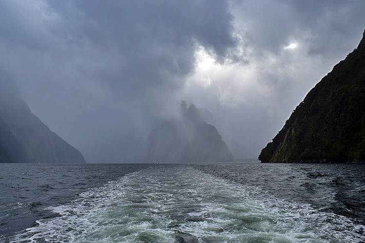 cruising the Milford Sound