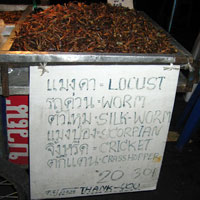 locust and other grubs on the menu
