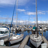 Monterey boat harbour