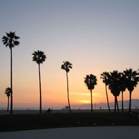 Venice Beach, LA, CA, USA