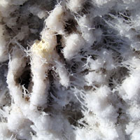 close up of salt crystals