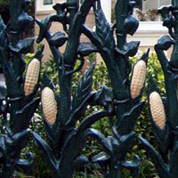 corn-on-the-cob fence