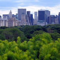 Manhattan from Central Park
