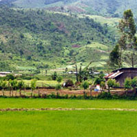 typical vietnamese farm