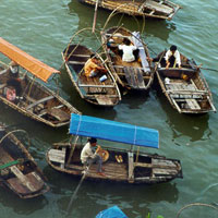 harbour boats from above