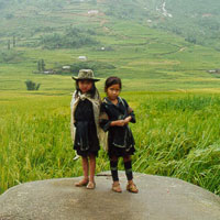 Photos from Vietnam