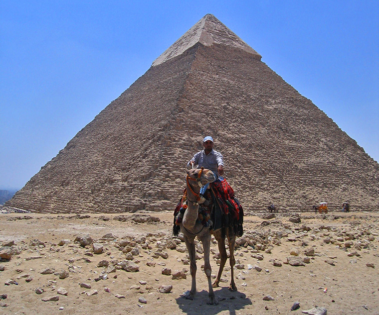 camel at Giza, Cairo, Egypt