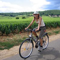 Cycling the vineyards