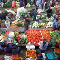 Fruit and vegetable market