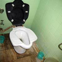 Hybrid squat and seat style toilet