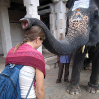 Being blessed by a temple elephant