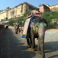 Elephant ride up to the fort
