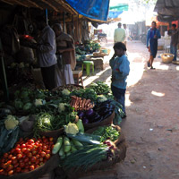 Indian fruit and vegetable market in Varanasi