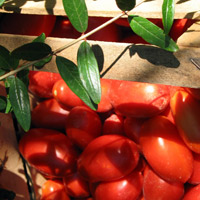 Crate of Roma Tomatoes