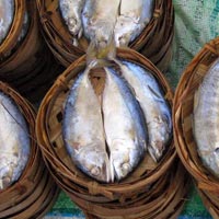 Fresh Meekong river fish at the markets