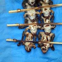 Frogs skewered and barbequed