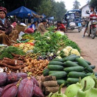 fresh food market