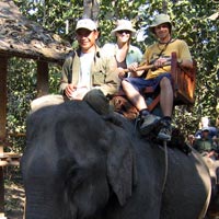 Our elephant ride