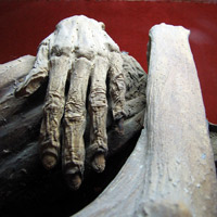 Mumified body from Guanajuato