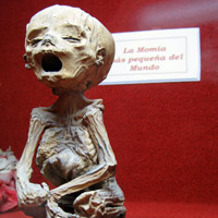 The world's smallest mummy